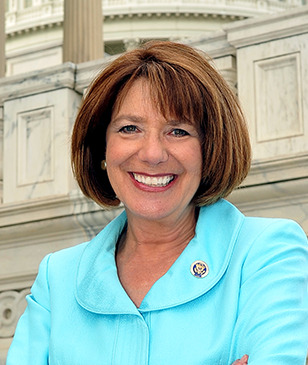 Susan Davis Profile Picture