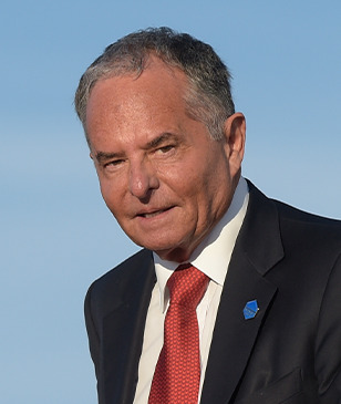 Isaac Perlmutter Profile Picture